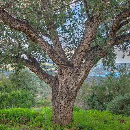 Willa Casa Vignola